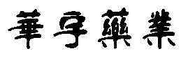 藍花楹價格
