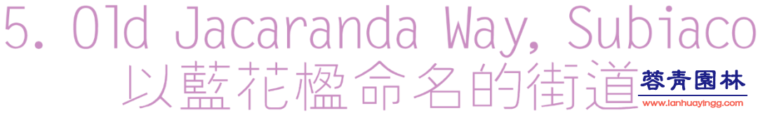 【珀斯藍花楹攻略】！8個觀賞地大曝光！