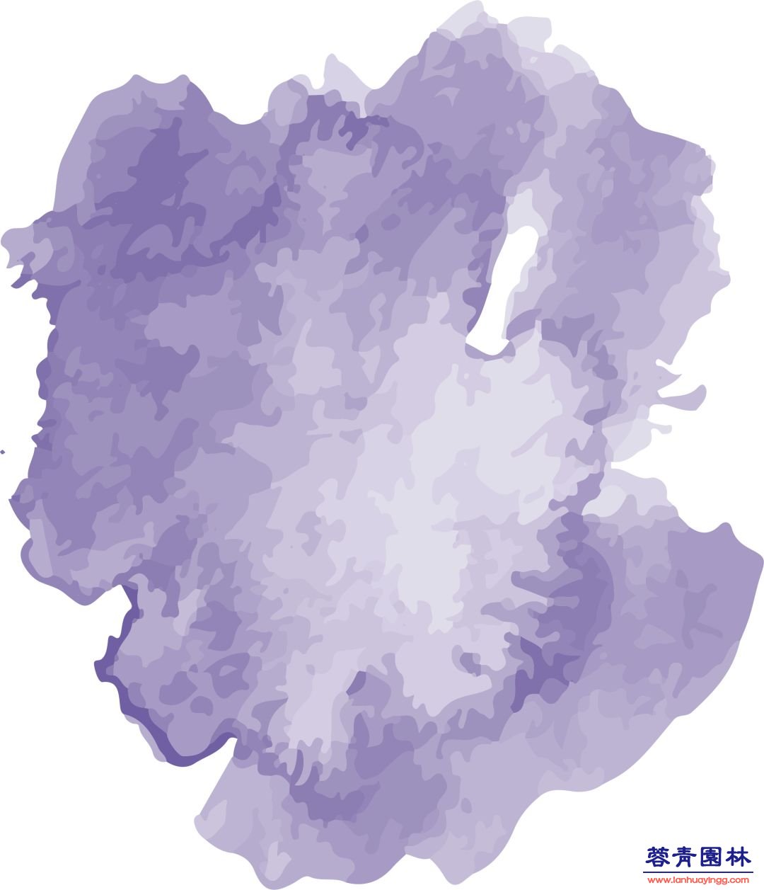 【珀斯藍花楹攻略】！8個觀賞地大曝光！
