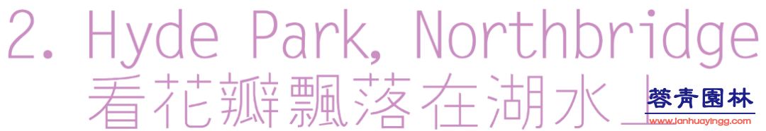 【珀斯藍花楹攻略】！8個觀賞地大曝光！