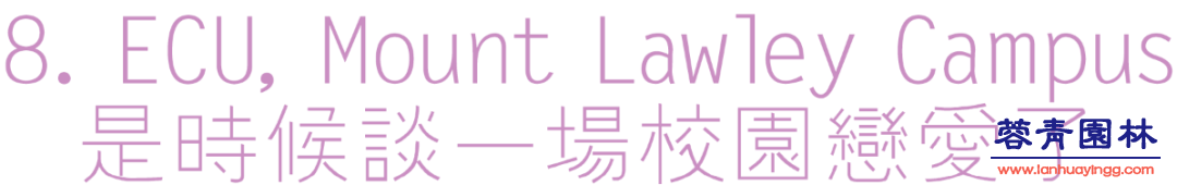 【珀斯藍花楹攻略】！8個觀賞地大曝光！