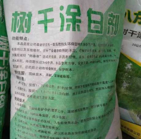 藍花楹花語-樹干冬天為什么要涂白，涂白有什么作用呢