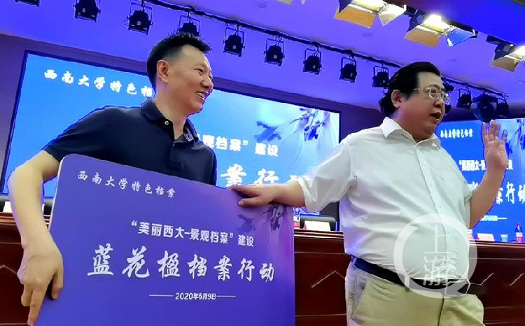這所大學將建設200米藍花楹大道，只為花建檔！